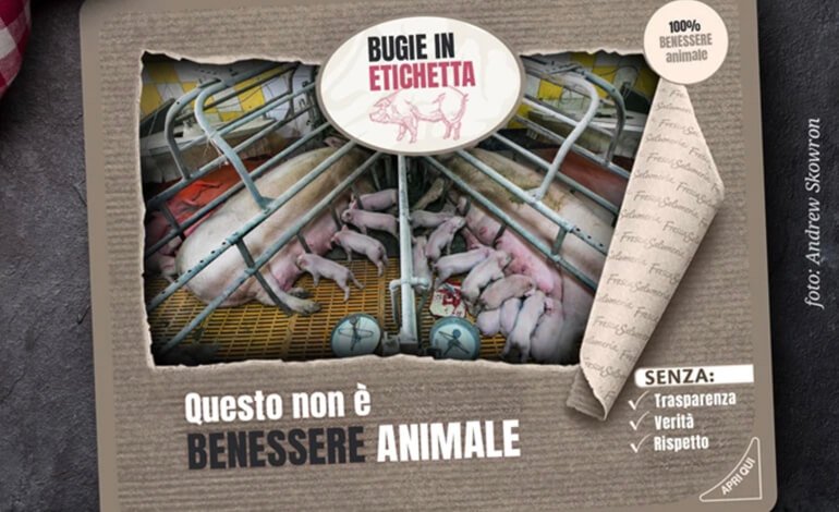 Le bugie scritte in etichetta: così il legislatore inganna i consumatori