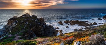 Rachel Carson e la vita in riva al mare