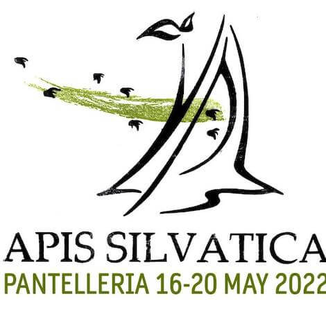 api mellifere api mellifere