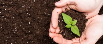 Fertilizzanti: come ridurre la dipendenza dall'estero e migliorare la qualità dei terreni