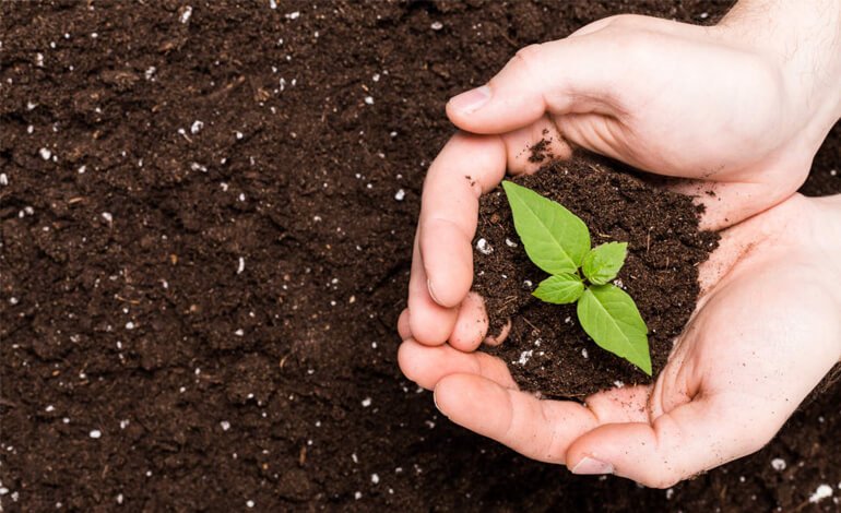 Fertilizzanti: come ridurre la dipendenza dall’estero e migliorare la qualità dei terreni