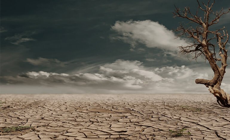 76 soluzioni per affrontare i cambiamenti climatici