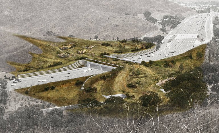 In California nasce il ponte per animali più grande del mondo