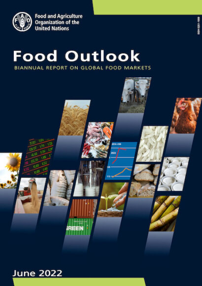 FAO Food Outlook