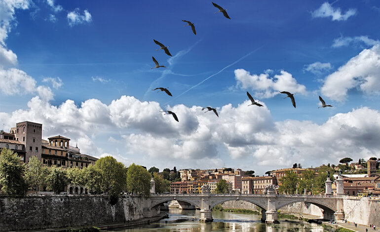 Tutti gli abitanti (animali) della Capitale