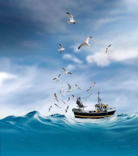 pesca sostenibile pesca sostenibile