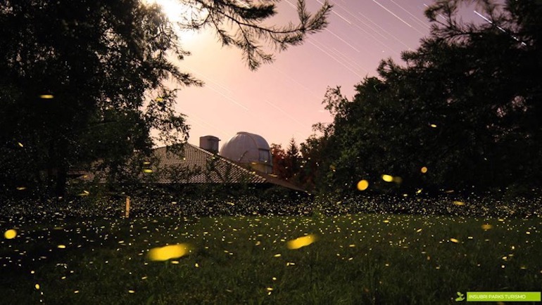 Picnic sotto le stelle Picnic sotto le stelle