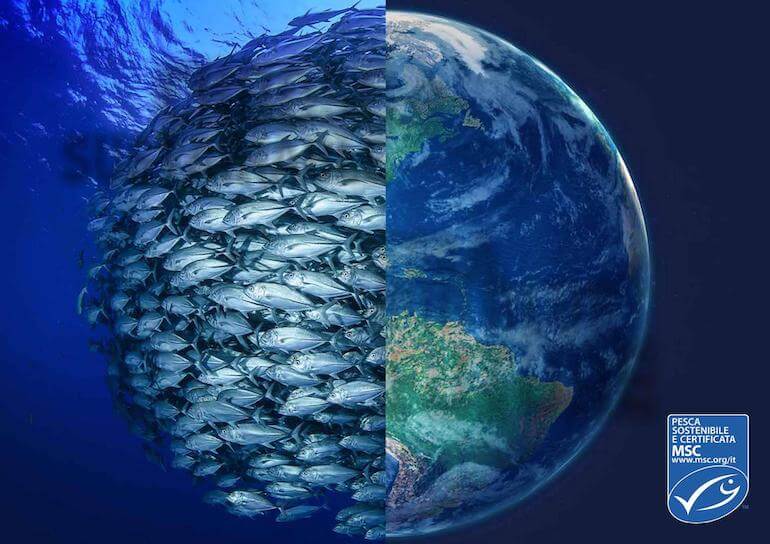 pesca sostenibile pesca sostenibile