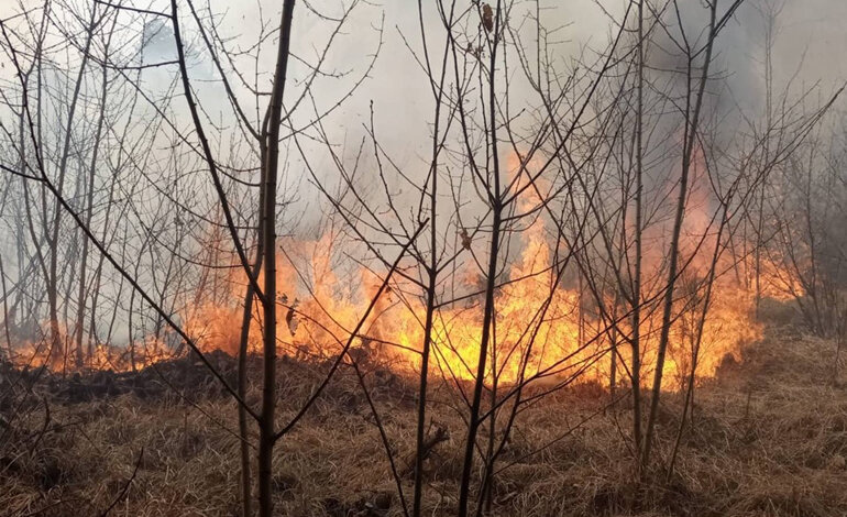 Fototrappole per monitorare incendi e bracconieri