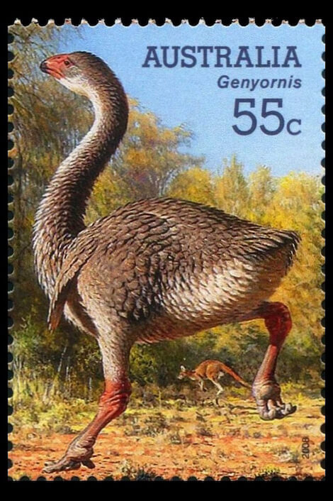 uccello preistorico uccello preistorico