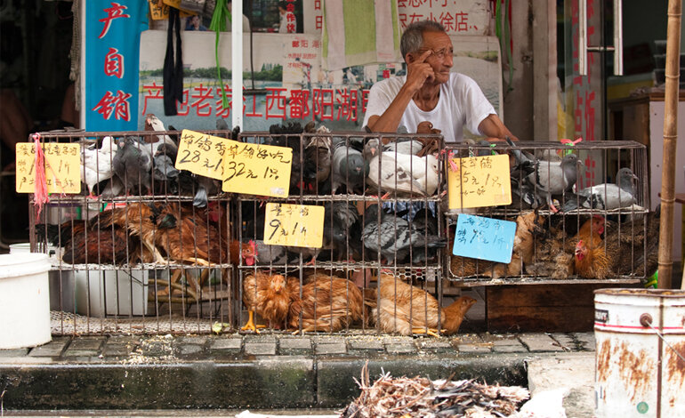 Festival di Yulin e quei wet market che dopo la pandemia dovevano scomparire