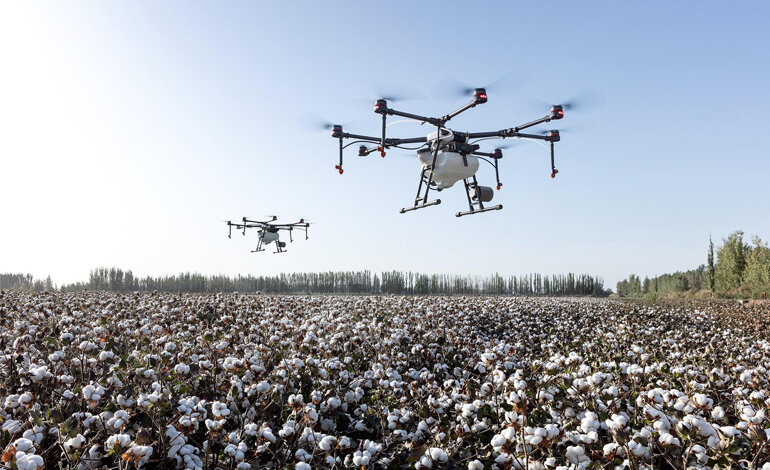 La FAO punta su scienza e innovazione per migliorare i sistemi agroalimentari