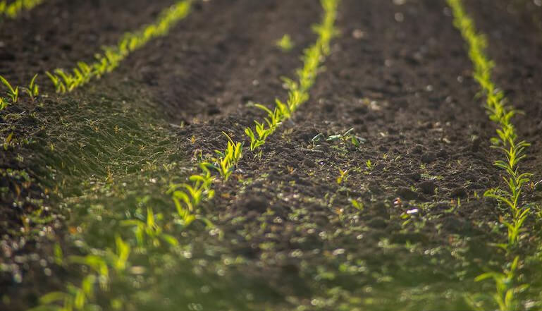 scienza agroalimentare scienza agroalimentare