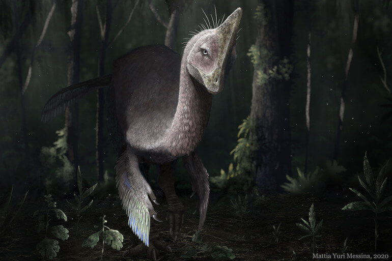 paleoarte paleoarte