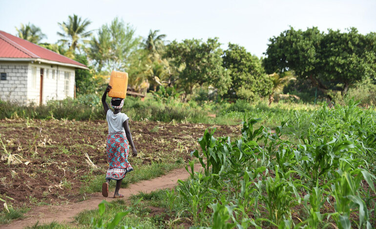 Il mondo rischia seriamente una crisi alimentare