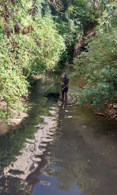 canale Alicorno