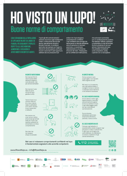 lupo norme di comportamento