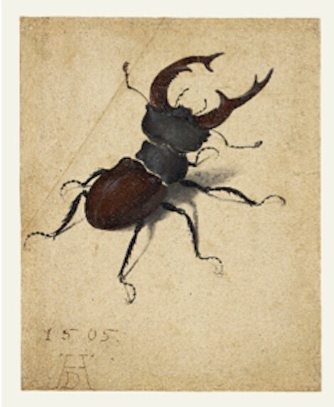 creature striscianti