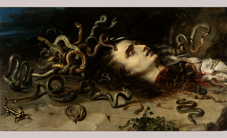 Dall’orrore alla meraviglia, in mostra insetti e creature striscianti