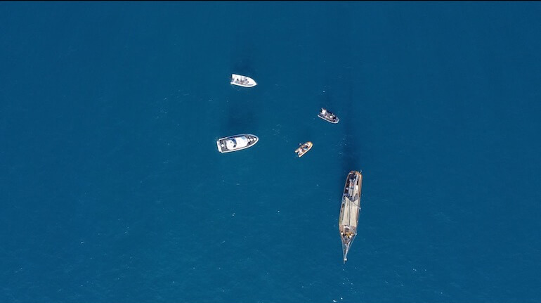 rilascio in mare tartaruga