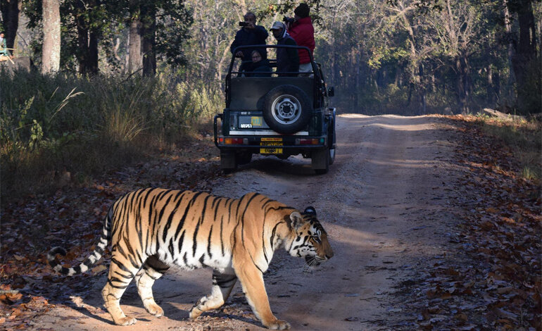 Tigre, l’importanza di un turismo sostenibile