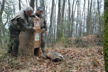 Guardie Ecologiche Volontarie