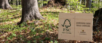 “Scegli le foreste” e i prodotti di provenienza sostenibile e certificata
