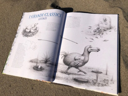 Estintopedia