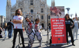Manifestazione della PETA a Milano contro l'uso delle pelli esotiche nella moda