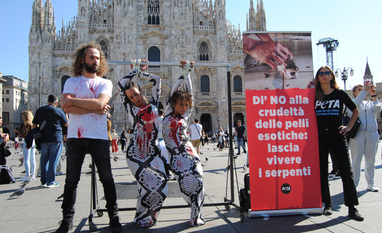 Manifestazione della PETA a Milano contro l’uso delle pelli esotiche nella moda