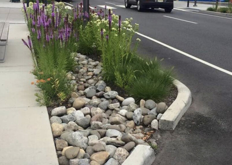 Riduzione del ruscellamento delle acque piovane con le aiuole di