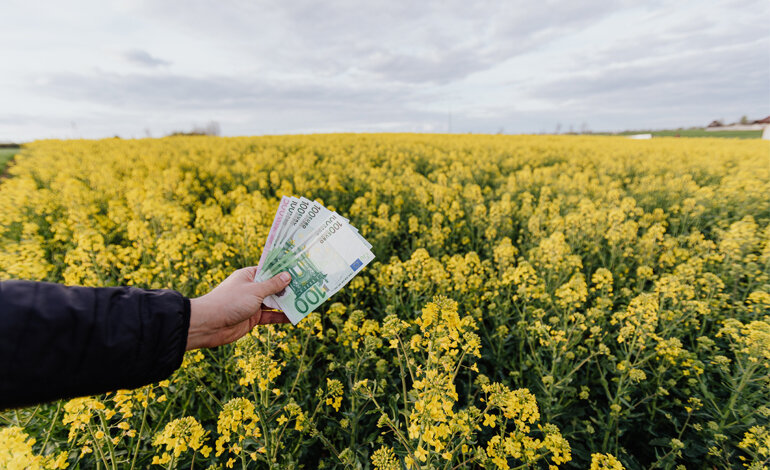 La finanza inizia a preoccuparsi per la perdita di biodiversità