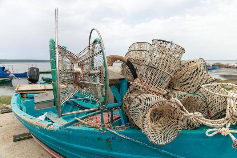 Pesca del polpo nel Golfo di Oristano