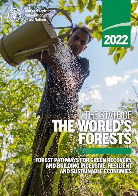 The state of the World's Forests 2022