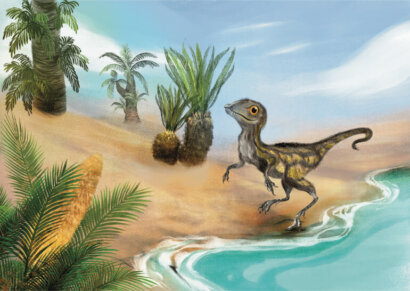 Scipionyx detto Ciro