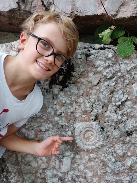 fossile di una ammonite