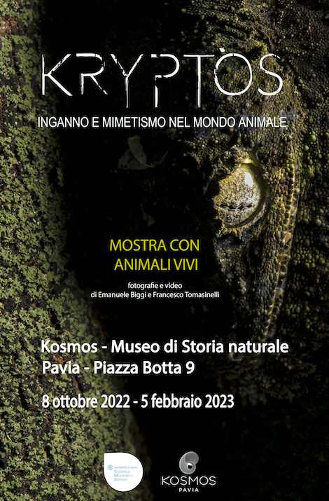 mimetismo animale