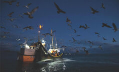 Dal 24 ottobre al 6 novembre, le Settimane della pesca sostenibile