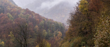 Lo spettacolo del foliage in Piemonte
