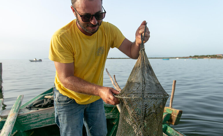Lo studio sulla salute della popolazione di polpo nel Golfo di Oristano