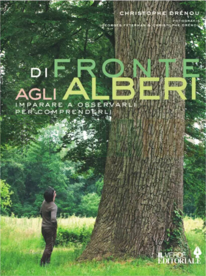 Di fronte agli alberi