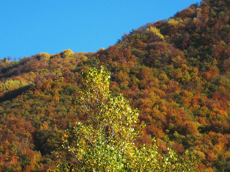 Monte Fuso in bicicletta