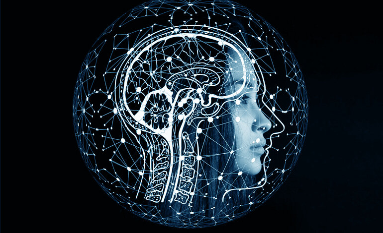 Alla scoperta delle meraviglie del nostro cervello