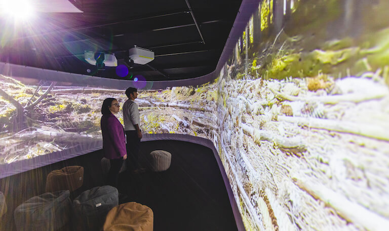 Nella mente del lupo