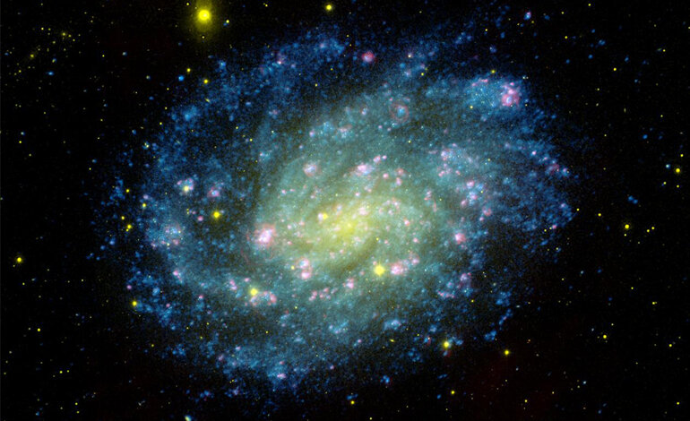 “E quindi uscimmo… ad ascoltar le stelle”*