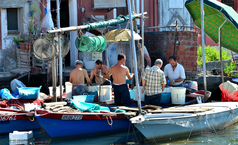 Nel mare troppo sfruttato, cambia la qualità del pesce