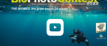 Il BioPhotoContest si prepara a vivere la straordinaria 10a edizione