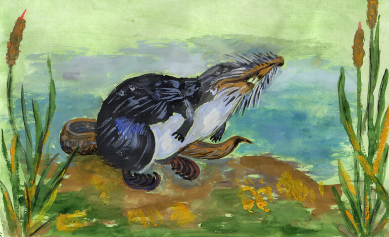 Giovanissimi artisti disegnano la natura per il World Wildlife Day