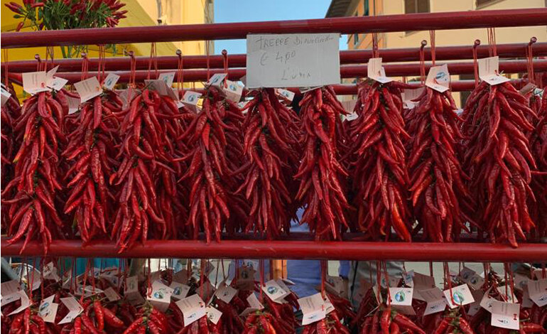 Il peperoncino: un viaggio fra benefici e piccantezza