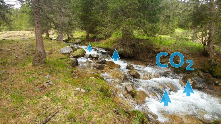 ruscelli di montagna